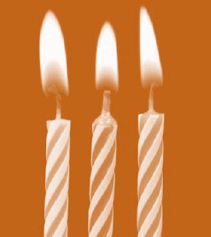 3rd Birthday for the Vine Trail in October 2011